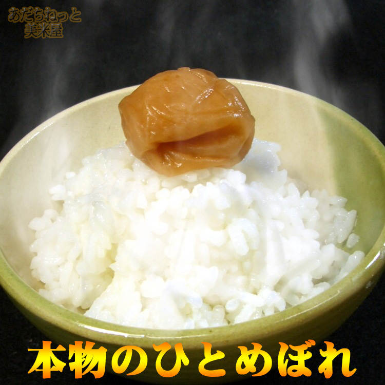 正真正銘　本物のひとめぼれをどうぞ